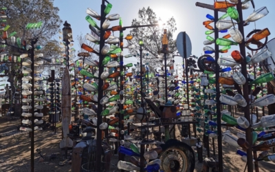 Bottle Tree Ranch