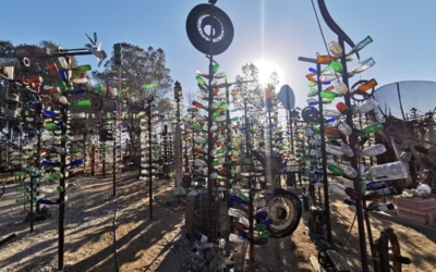 Bottle Tree Ranch