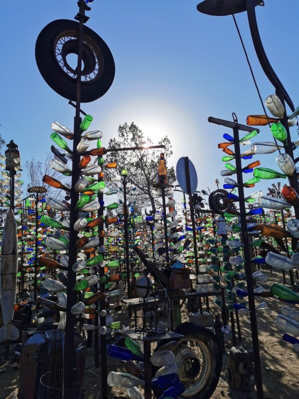 Bottle Tree Ranch