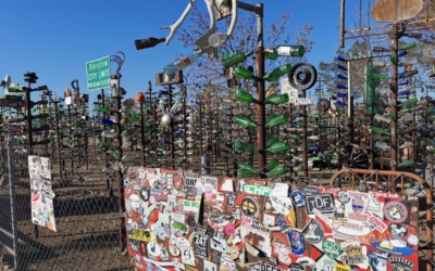 Bottle Tree Ranch