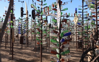 Bottle Tree Ranch