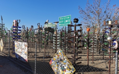 Bottle Tree Ranch