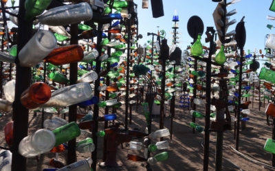 Bottle Tree Ranch