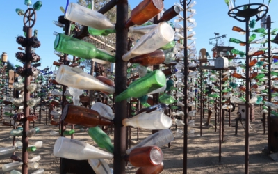 Bottle Tree Ranch