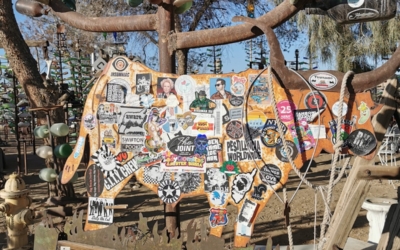 Bottle Tree Ranch