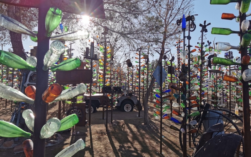 Bottle Tree Ranch