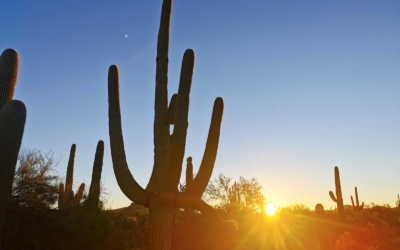 Tucson Mountain