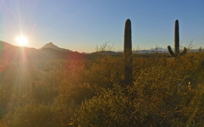 semi marathon de Saguaro