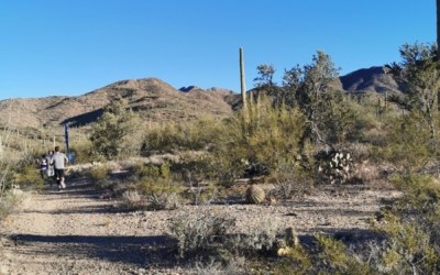 semi marathon de Saguaro