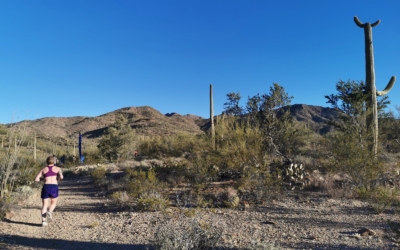 semi marathon de Saguaro