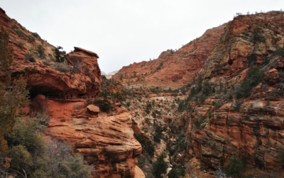Canyon Overlook Trail