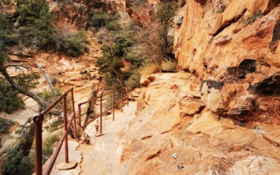 Canyon Overlook Trail