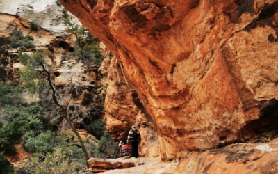 Canyon Overlook Trail