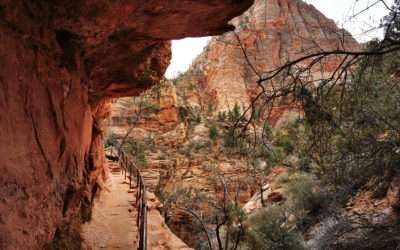 Canyon Overlook Trail