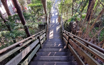 Filbert Steps