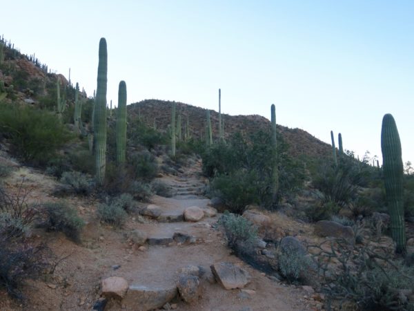 sentier