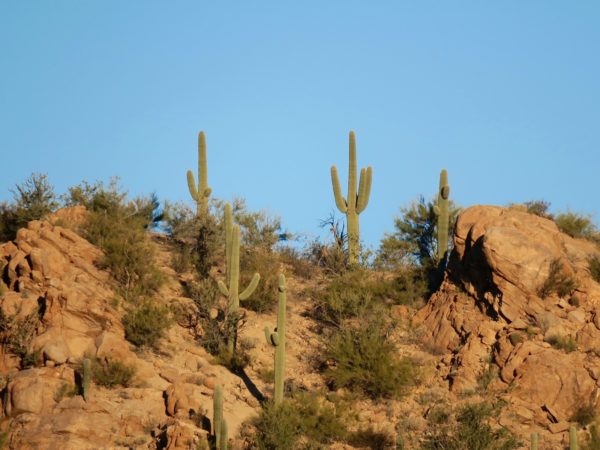 Hugh Norris Trail 