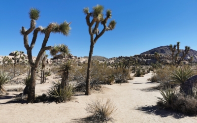 Barker Dam