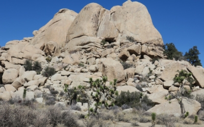Randonnée Barker Dam