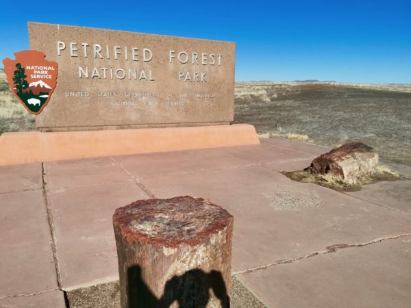 Petrified Forest National Park 