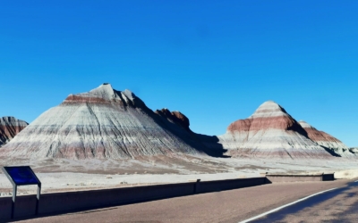 Petrified Forest