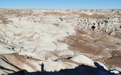 Petrified Forest