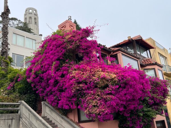Coit Tower