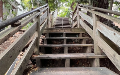 Filbert Steps