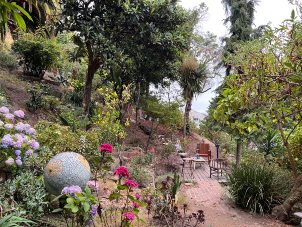 Filbert Steps