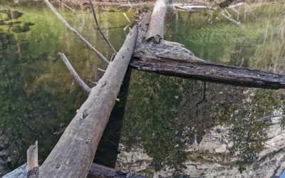 enjamber la rivière