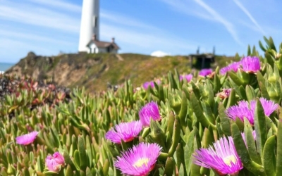 Highway One