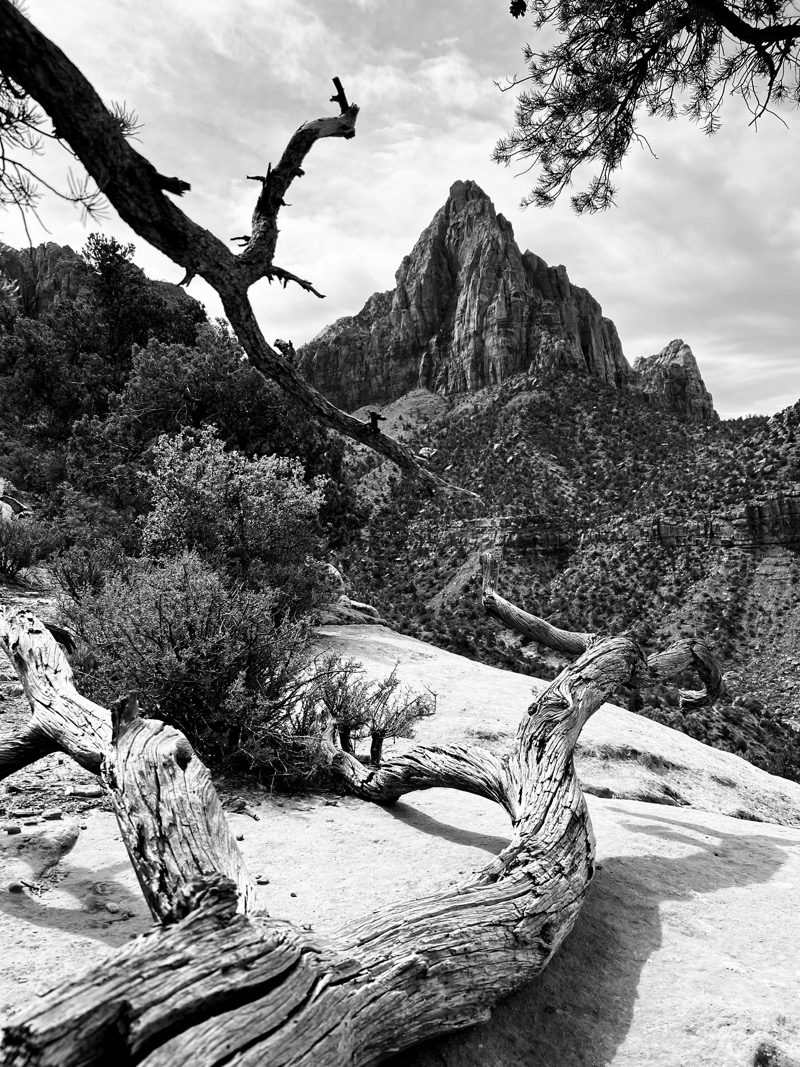 The Watchman Trail 