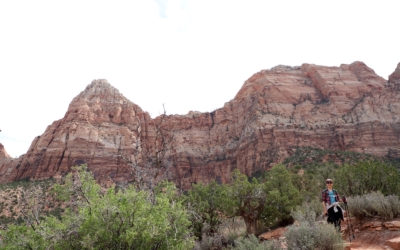 The Watchman trail