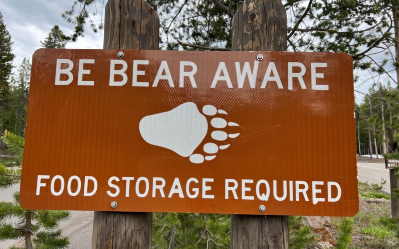 règles de base par rapport aux ours