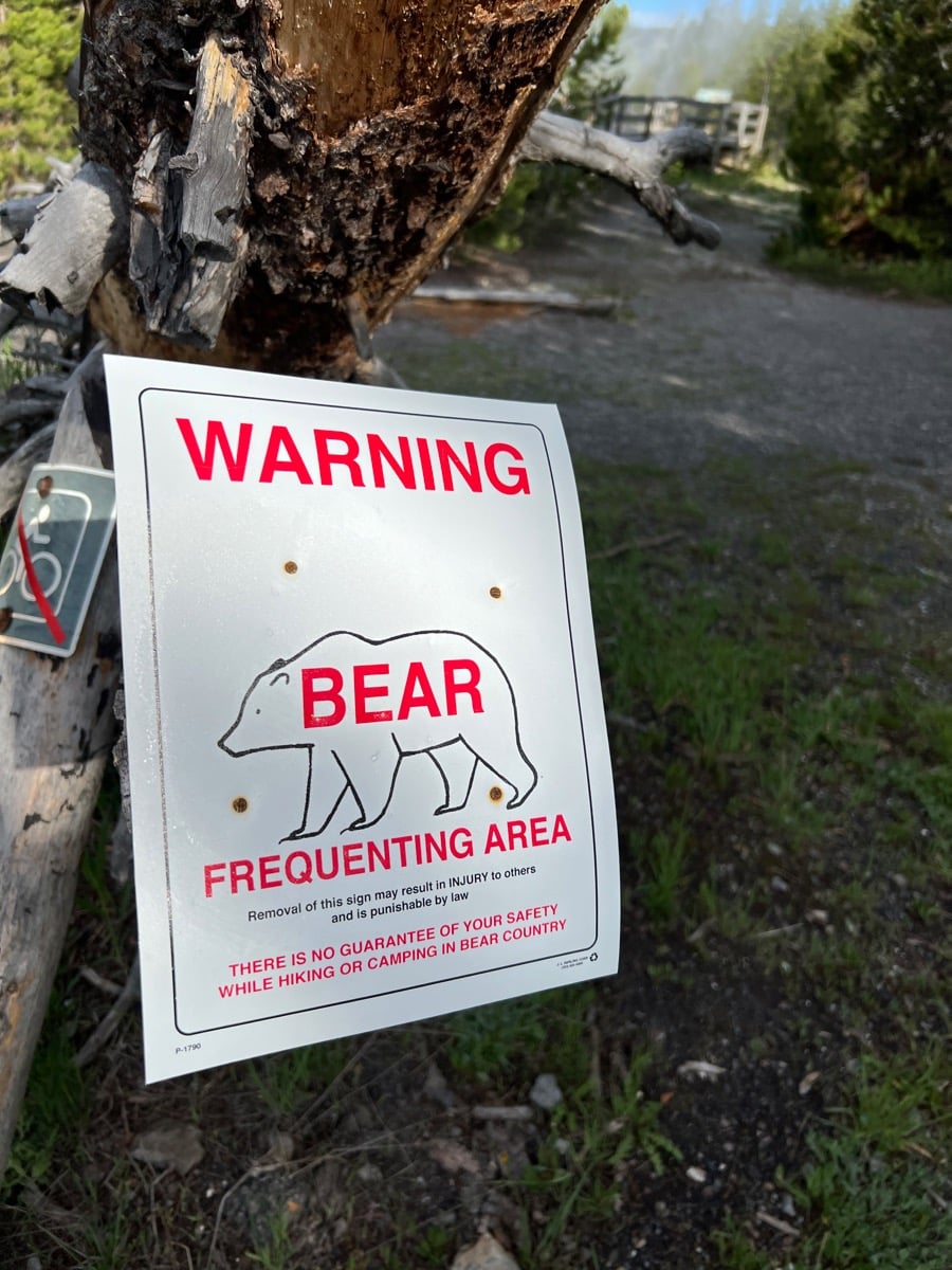 règles de base par rapport aux ours 