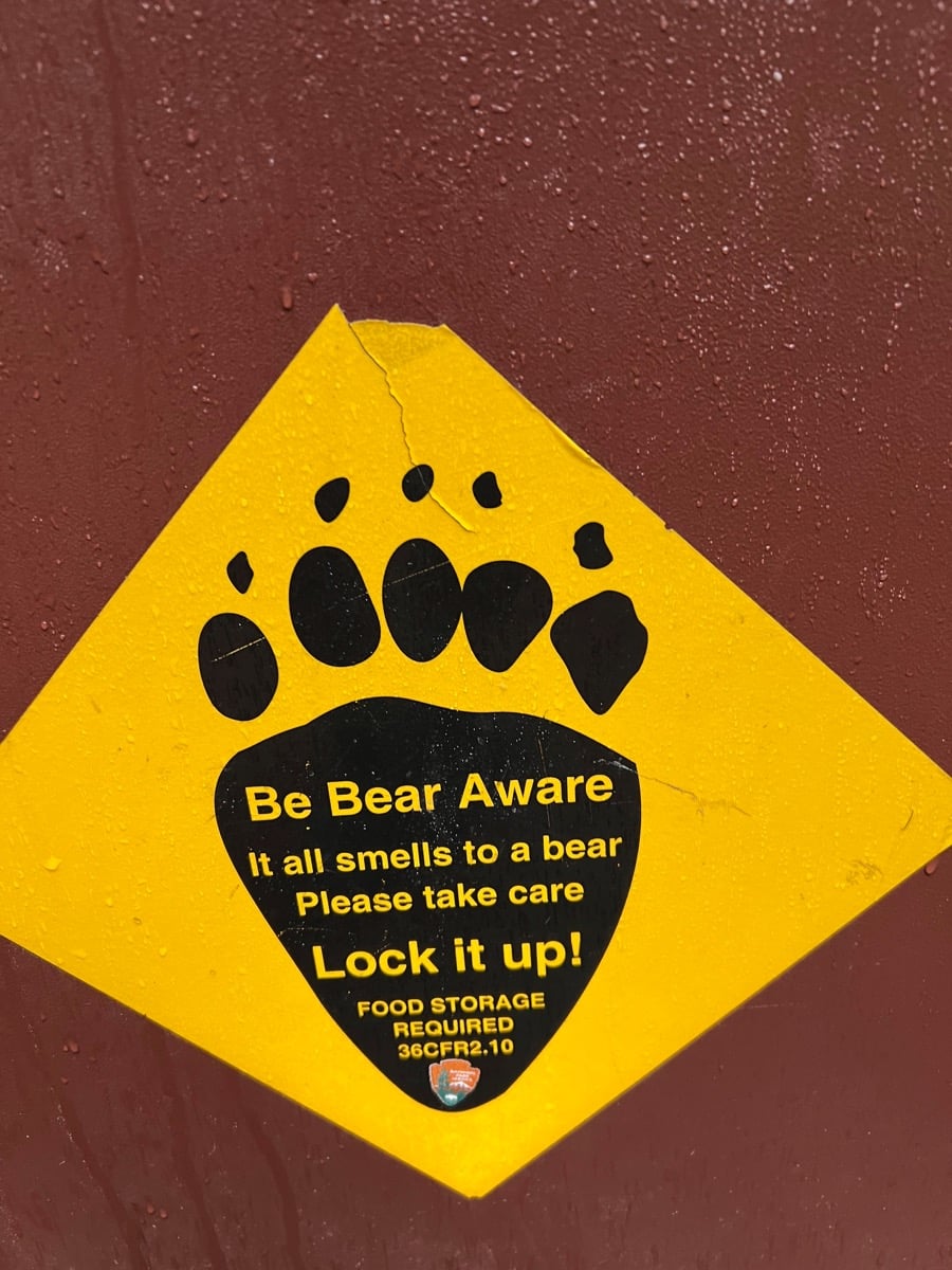 règles de base par rapport aux ours 