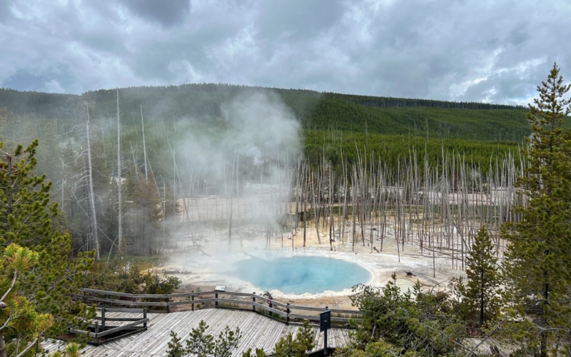 Yellowstone Norris