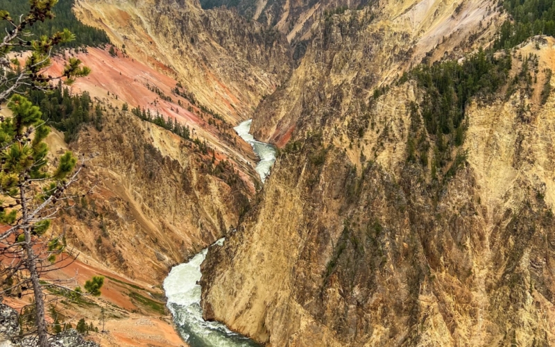 canyon du Yellowstone 