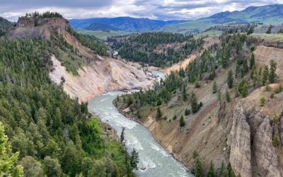 Yellowstone
