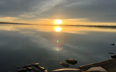 Yellowstone