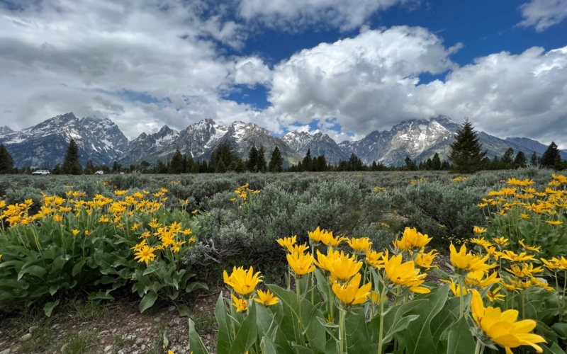 Grand Teton 