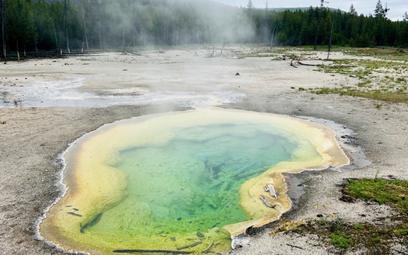 geyser Yellowstone 