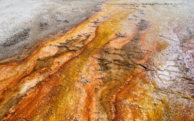 Yellowstone