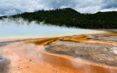 Yellowstone