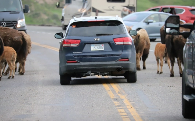 Comportement irresponsable 