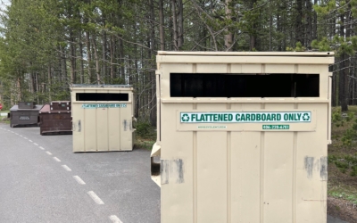 poubelles