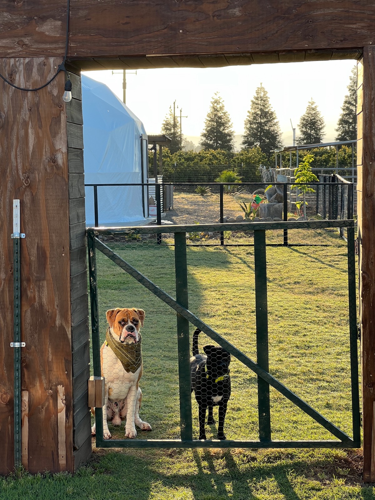 Glamping à la ferme