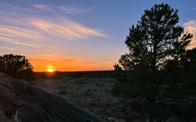 coucher de soleil