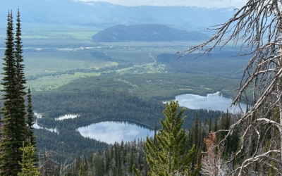 Grand Teton