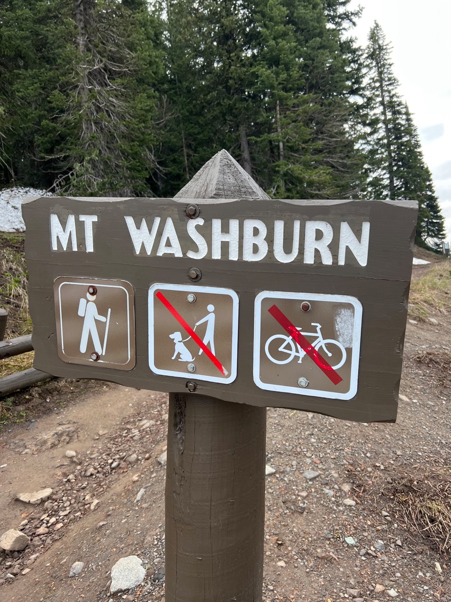 Mount Washburn 